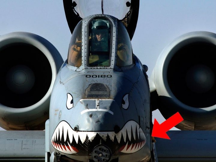 [ID: 1jAinfEkeHw] Youtube Automatic