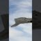 The $1.5B X-47B Drone That Made Aircraft Carriers Smarter