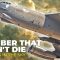 B-52 Stratofortress – The Legendary Bomber That Refuses to Die